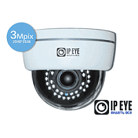 Видеокамера IP IPEYE-3831 в стандартном корпусе