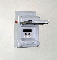 Часовая станция ПИК-2М6203