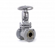 Задвижка стальная 30с41нж ТехГидроМаш НЖ Ду250  Ру16 фланцевая с фланцами и крепежом