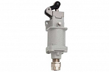 ДВГ-КВ-Е21К1 Концевой выключатель взрывозащищенный 1Ex db IIC T6 Gb, IP66