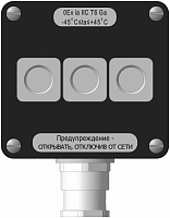 Модуль системный взрывозащищенный МСВ-УК1Н-SA01-D(М20P070/1)-У1-1Ex