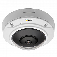 Видеокамера IP Axis M3007-PV (0515-001)
