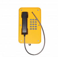 Погодостойкий (IP66) телефон с полной клавиатурой Termit PublicPhone WHS101FK