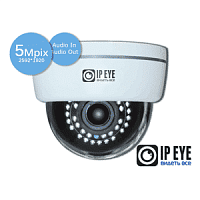 Видеокамера IP IPEYE-3801 купольная + wifi