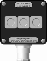 Модуль системный взрывозащищенный МСВ-УК1-1(01ГК)-1(К220)-(M20/1)-УХЛ1-1Ex db eb IIC T6 Gb-ТУ4252-0