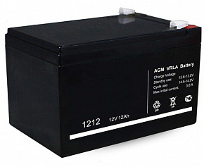 Аккумуляторы комплект 2 штуки 12Ah 12V (для E260, MBZ 300 NG 10 A)