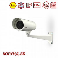 ТВК-65-IP-4М/88-F28-PoE Ex Компактная всепогодная взрывозащищенная видеокамера