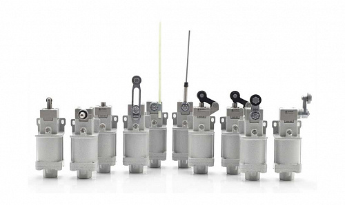 ДВГ-КВ-E22K1 Выключатель концевой взрывозащищенный 1Ex db IIC T6 Gb IP66. ДВГ-КВ-E22K1 Выключатель концевой взрывозащищенный 1Ex db IIC T6 Gb IP66.