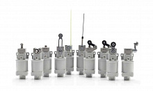 ДВГ-КВ-Е31К1 Концевой выключатель взрывозащищенный 1Ex db IIC T6 Gb, IP66, рычаг с роликом, 1НО+1НЗ.