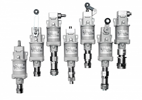 ДВГ-КВ-Е52К1-КОВ1MНК Концевой выключатель взрывозащищенный 1Ex db IIC T6 Gb, IP66,регулируемый рыча