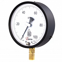 МТИф 0-100 кПа кт.0,6 d.160 IP40 M20*1,5 РШ Корр."0"