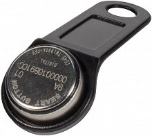 Ключ Dallas DS1990F5 (с серийным номером)